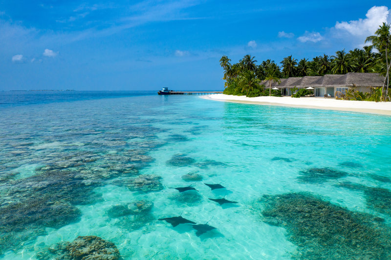 Urlaub im Baglioni Resort Maldives - hier günstig online buchen
