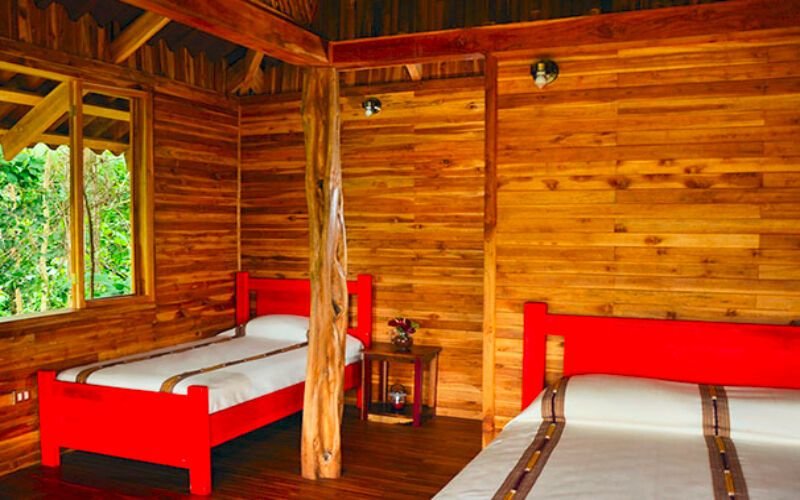 Urlaub im Macaw Lodge - hier günstig online buchen