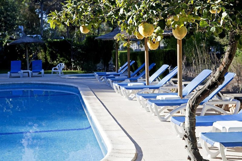 Urlaub im Playa Mondrago Hotel Apartments 2024/2025 - hier günstig online buchen