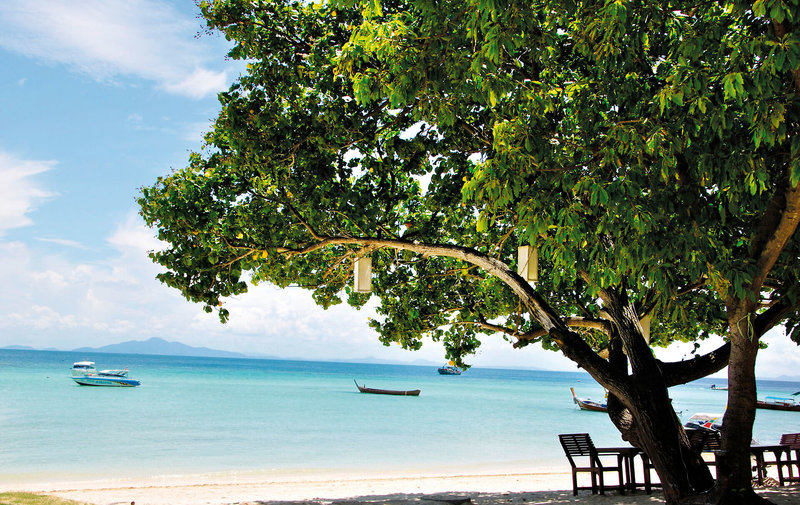 Urlaub im Phi Phi Erawan Palms Resort 2024/2025 - hier günstig online buchen
