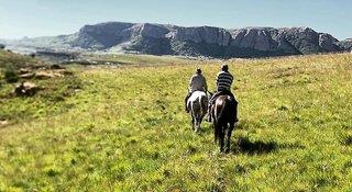 Urlaub im Wild Horses Lodge - hier günstig online buchen