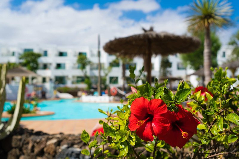 Urlaub im Galeón Playa by Seasense Hotels - hier günstig online buchen